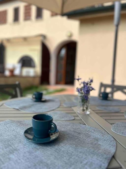 Apartment Windrose Blue Blossom Volterra